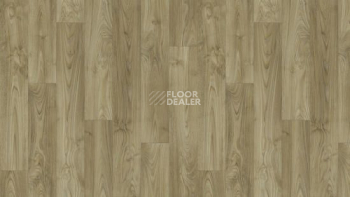 Линолеум Tarkett Caprice DORN 3 фото 1 | FLOORDEALER